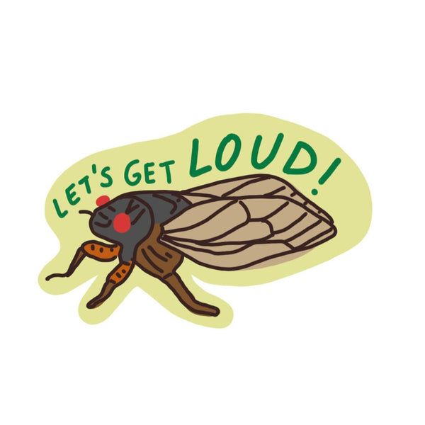 Cicada Sticker