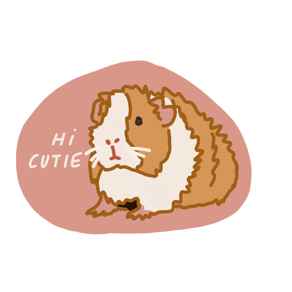 Guinea Pig Sticker